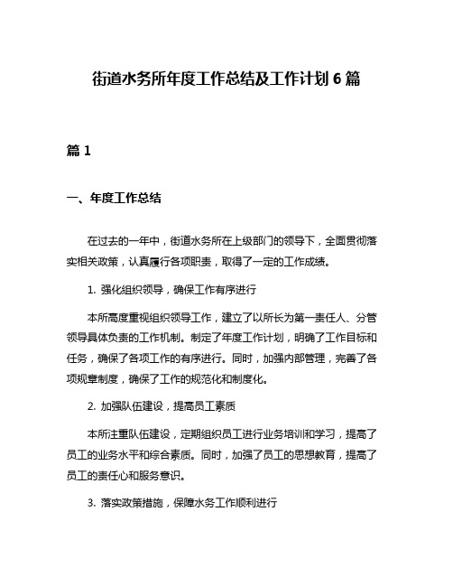 街道水务所年度工作总结及工作计划6篇