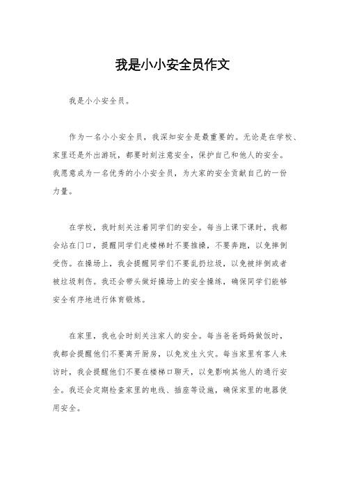 我是小小安全员作文