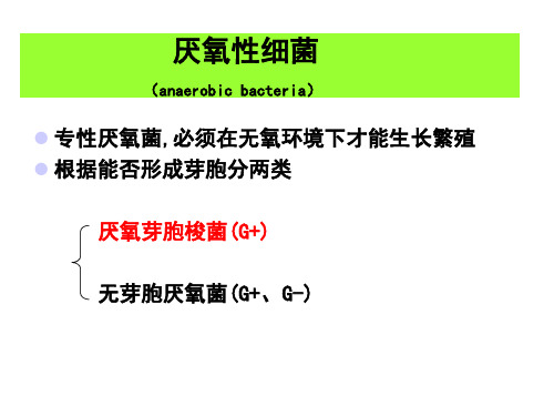 厌氧性细菌PPT课件