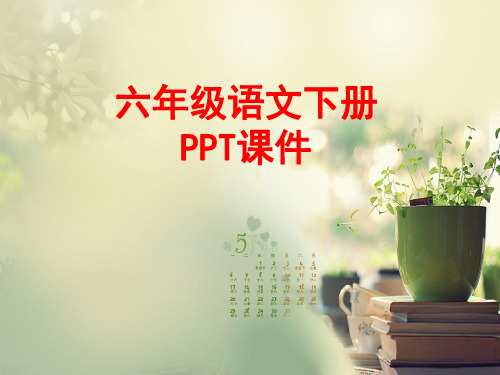 六年级下册语文名师精品课件-21 青花∣语文S版