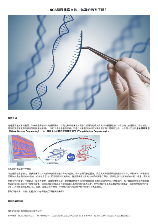 NGS捕获建库方法，你真的选对了吗？