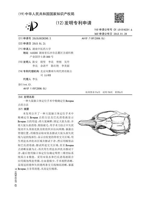 一种大鼠脑立体定位手术中精确定位Bregma点的方法[发明专利]