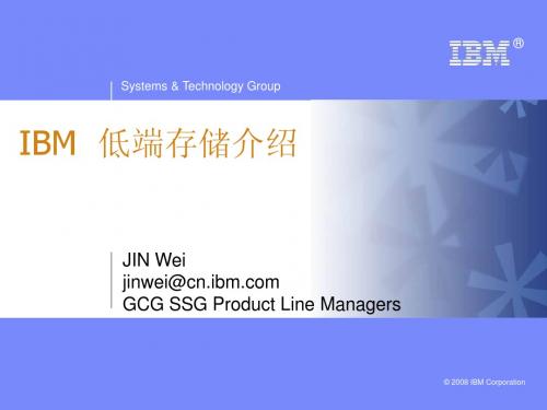 IBM  低端存储介绍