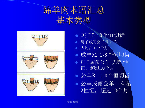 澳洲肉品手册-绵羊肉[专业参考]