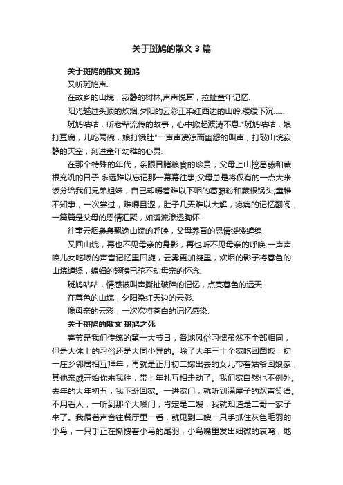 关于斑鸠的散文3篇