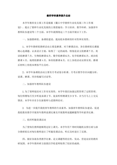 教师学科素养提升总结