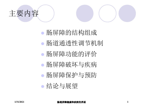 肠道屏障健康和疾病的界面培训课件