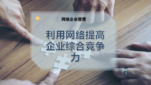 利用网络提高企业综合竞争力