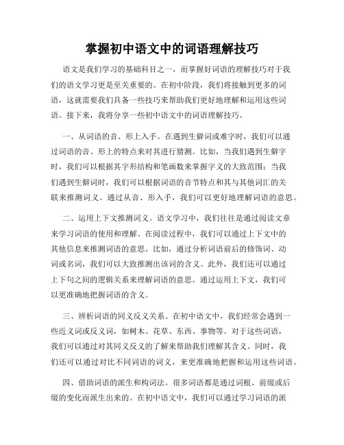 掌握初中语文中的词语理解技巧