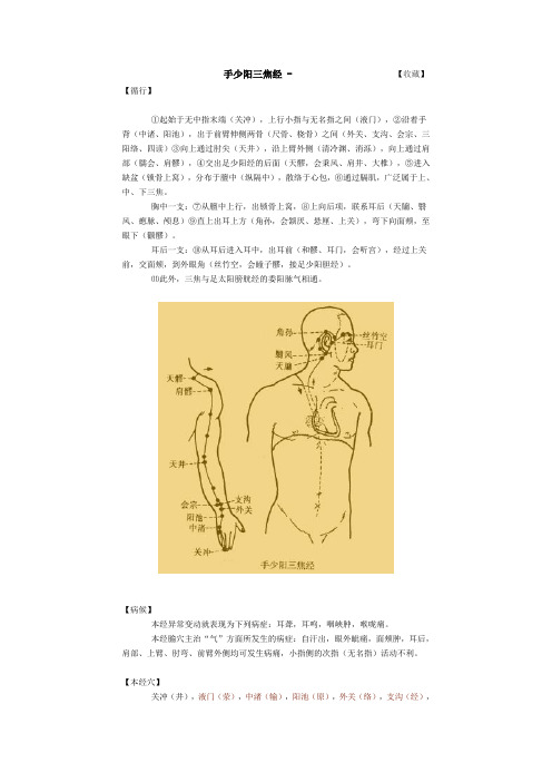 手少阳三焦经