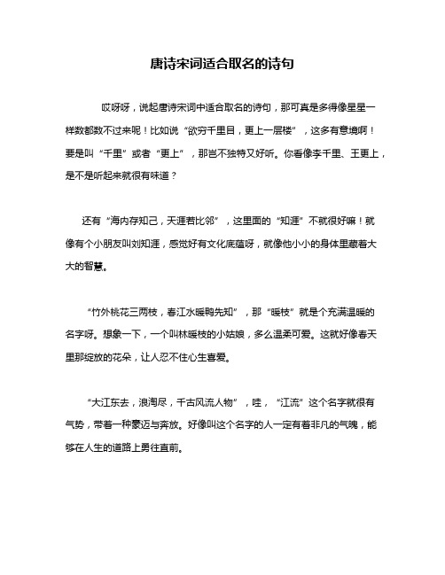 唐诗宋词适合取名的诗句