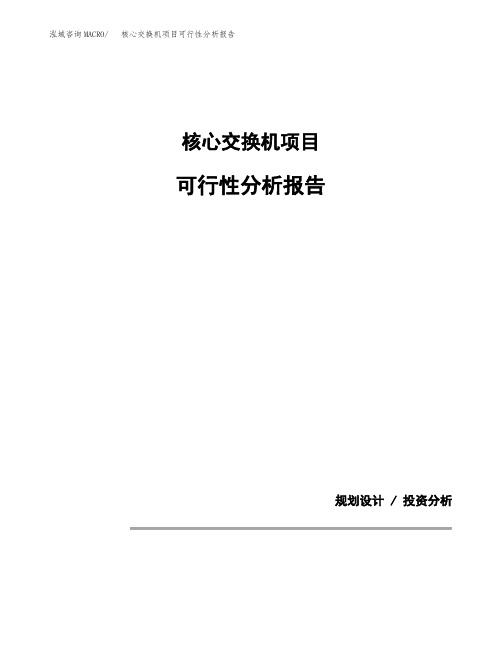 核心交换机项目可行性分析报告(模板参考范文)