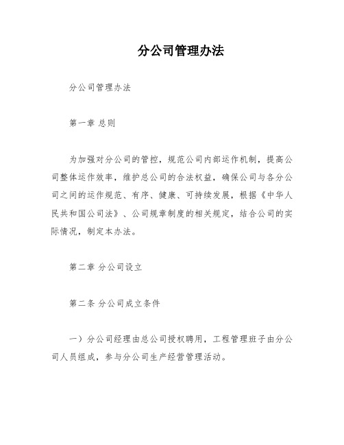 分公司管理办法