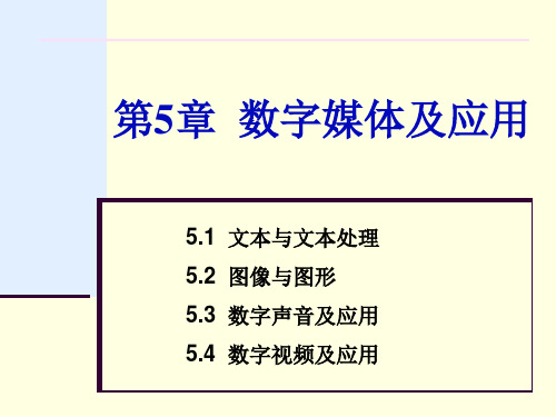 第5章 数字媒体及应用