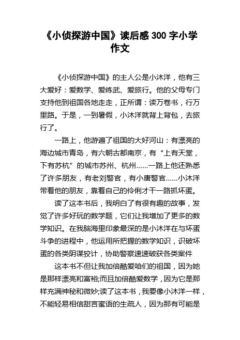 小侦探游中国读后感300字小学作文