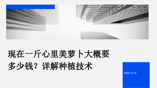 现在一斤心里美萝卜大概要多少钱详解种植技术