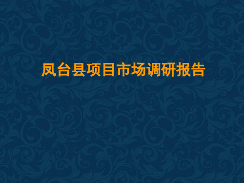 凤台县房地产市场数据分析