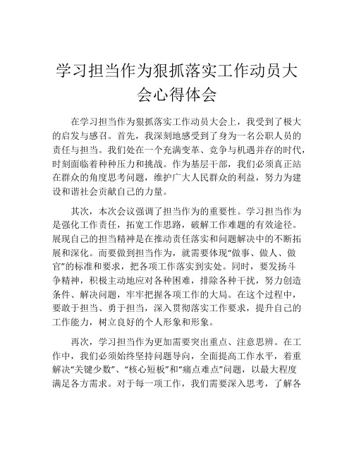 学习担当作为狠抓落实工作动员大会心得体会