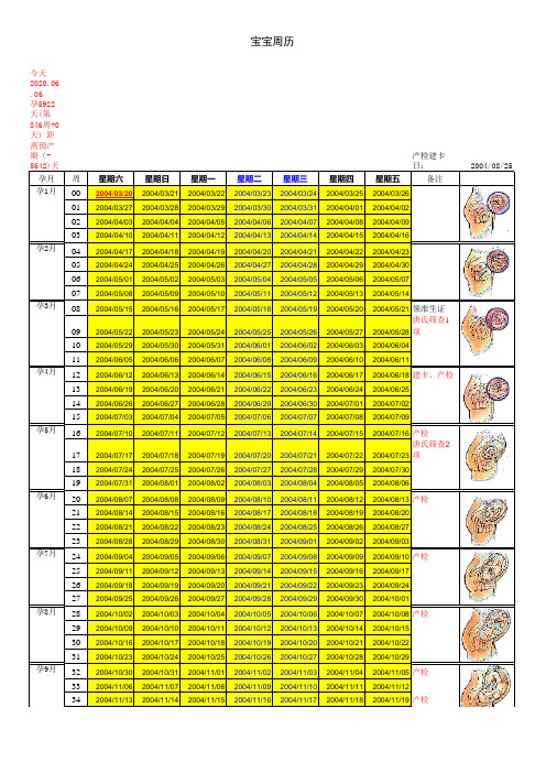 怀孕时间和宝宝大小周表