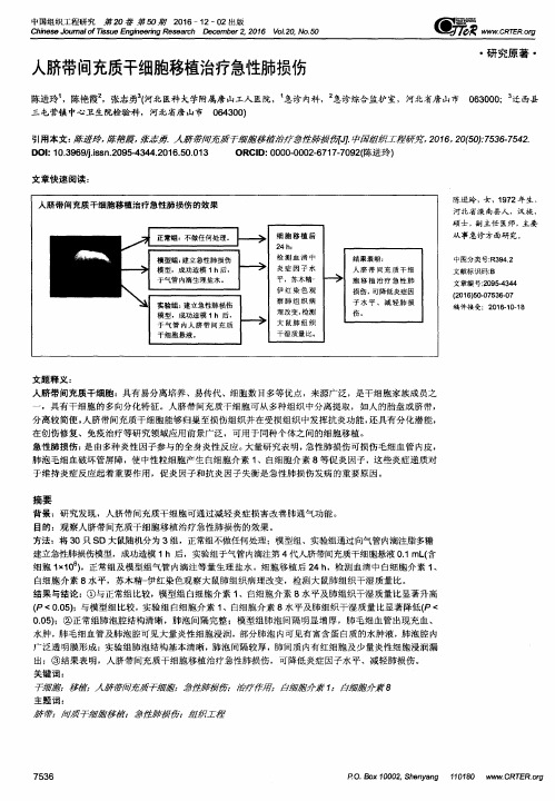 人脐带间充质干细胞移植治疗急性肺损伤