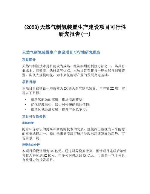 (2023)天然气制氢装置生产建设项目可行性研究报告(一)