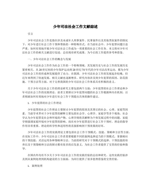 少年司法社会工作文献综述