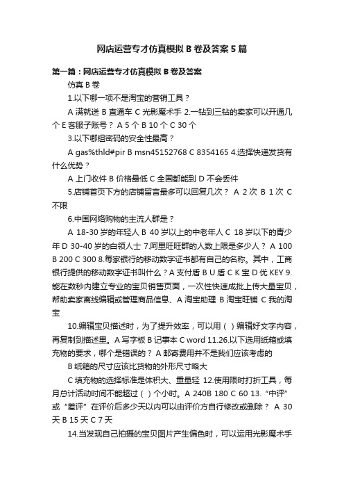 网店运营专才仿真模拟B卷及答案5篇