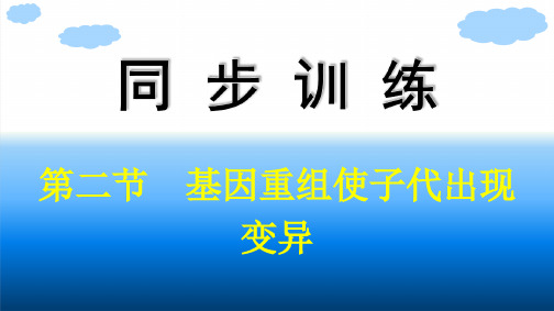 浙科版高中生物学必修2精品课件 第4章 生物的变异 第2节 基因重组使子代出现变异