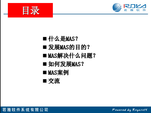 若雅MAS知识介绍共16页PPT资料