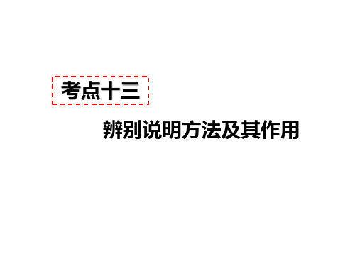 人教部编版八年级语文上册：说明文阅读 考点十三 - 辨别说明方法及其作用   答题模板及模板示例(共44张PPT)