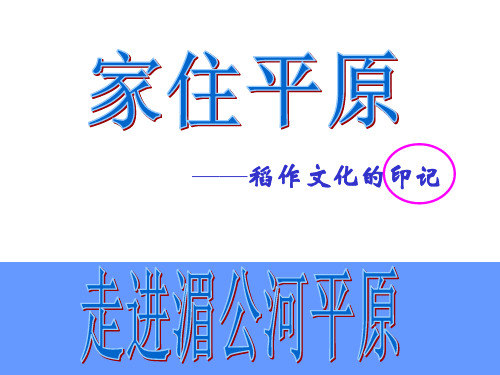 人教版七年级历史与社会上册 3.1.1 稻作文化的印记(共20张PPT) 