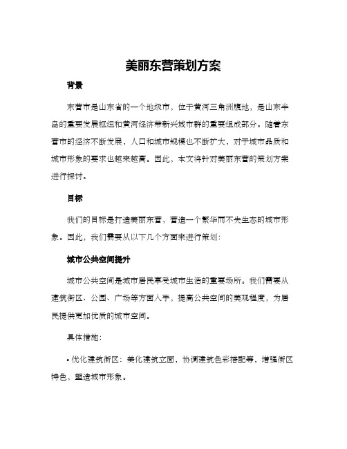 美丽东营策划方案