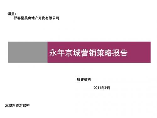 邯郸市永年京城营销策略报告54P