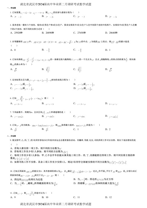 湖北省武汉市2024届高中毕业班二月调研考试数学试题