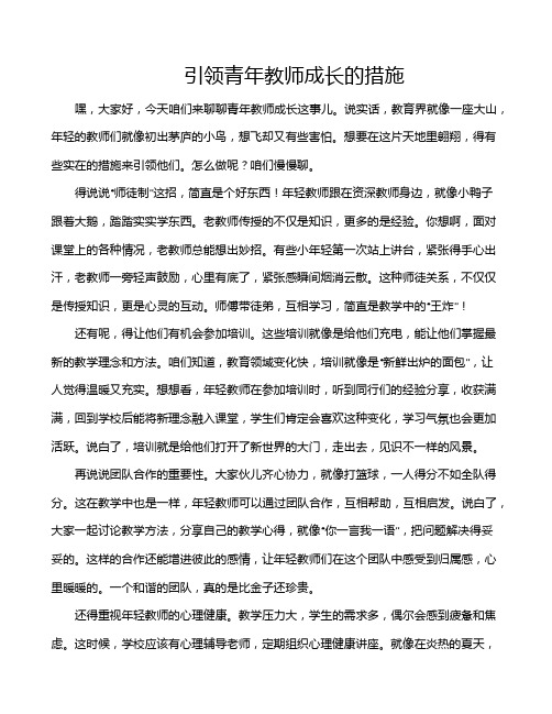 引领青年教师成长的措施