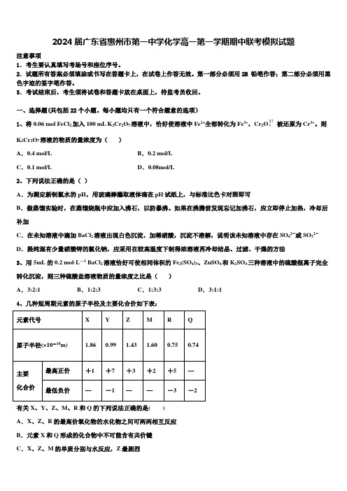 2024届广东省惠州市第一中学化学高一第一学期期中联考模拟试题含解析