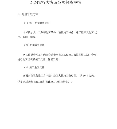 组织实施方案及各项保障措施