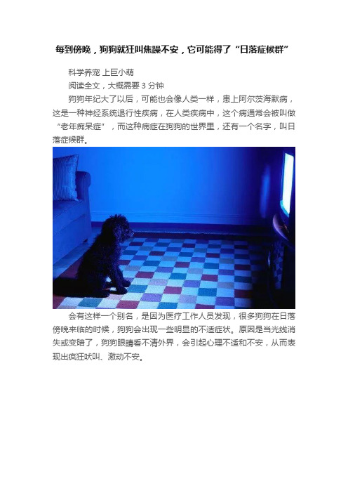 每到傍晚，狗狗就狂叫焦躁不安，它可能得了“日落症候群”