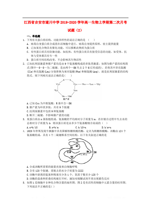 江西省吉安市遂川中学2019-2020学年高一生物上学期第二次月考试题2