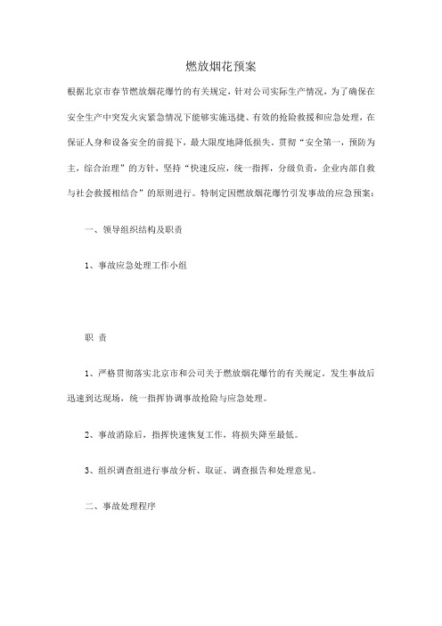 燃放烟花预案 文档