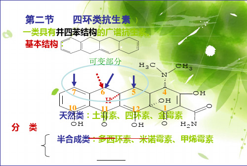 四环素类抗生素概述