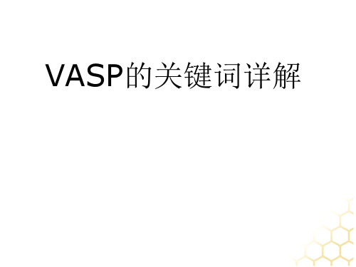 VASP的关键词详解2报告