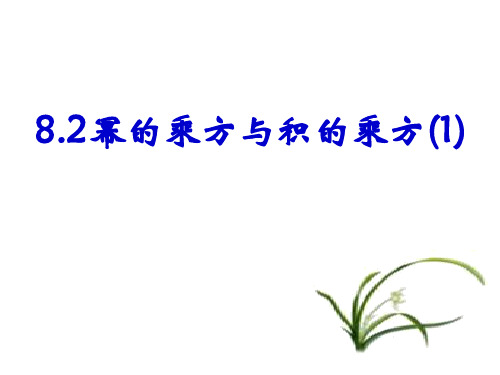 新苏科版七年级数学下册《8章 .幂的运算  8.2 幂的乘方与积的乘方》公开课课件_30