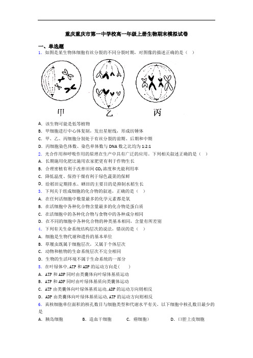 重庆重庆市第一中学校高一年级上册生物期末模拟试卷