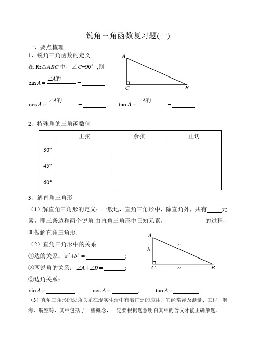 锐角三角函数复习(一)