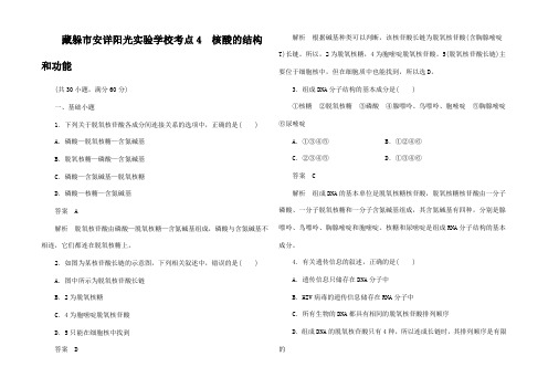 高考生物 考点4 核酸的结构和功能