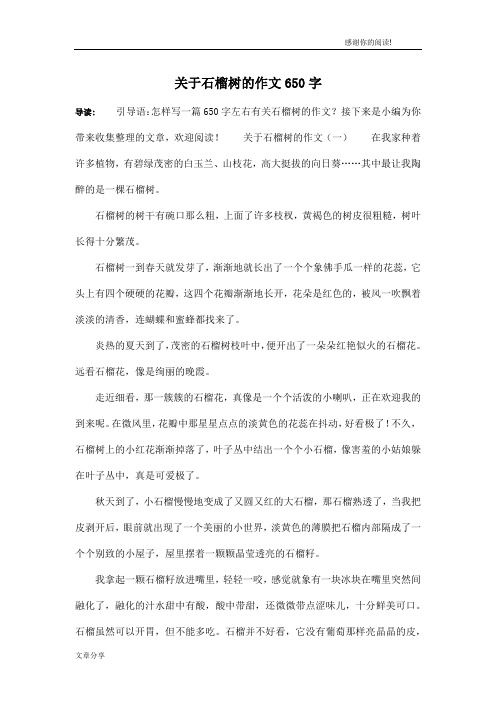 关于石榴树的作文650字