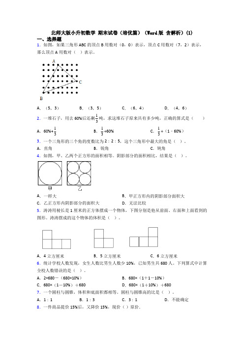 北师大版小升初数学 期末试卷(培优篇)(Word版 含解析)(1)