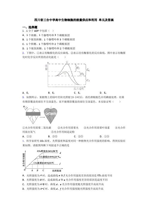 四川省三台中学高中生物细胞的能量供应和利用 单元及答案