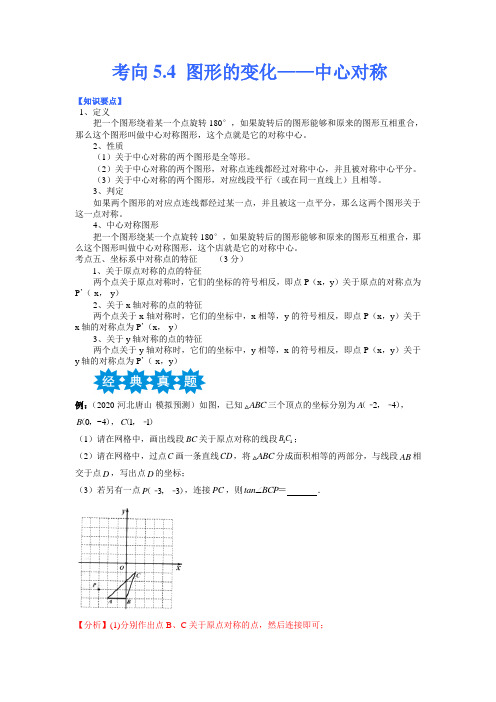 图形的变化——中心对称备战2023年中考数学考点微专题